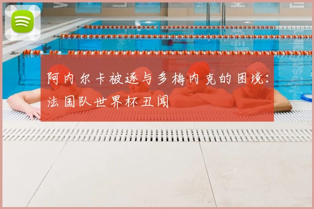 阿内尔卡被逐与多梅内克的困境：法国队世界杯丑闻