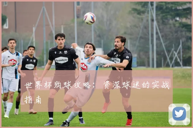 世界杯购球攻略：资深球迷的实战指南