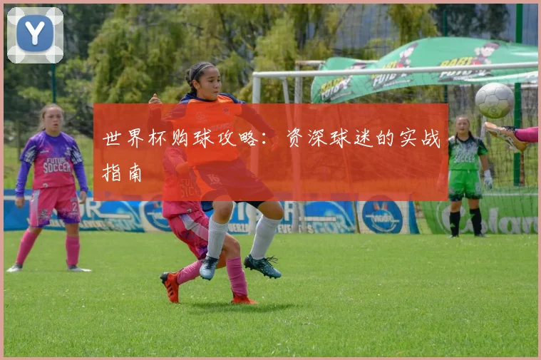 世界杯购球攻略：资深球迷的实战指南