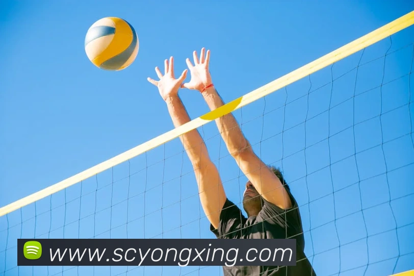 多媒体互动体验